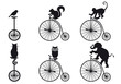 retro bicycle with animals, vector set