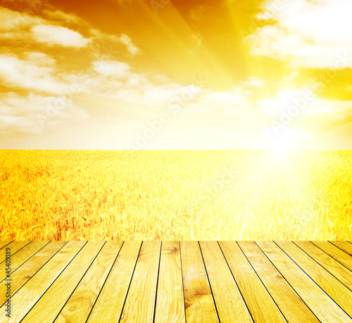 Photo: Field Field