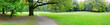 Park in autumn time