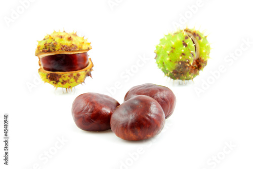Photo: Autumn look with chestnuts Autumn look with chestnuts