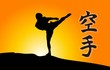 Karate kick and sunrise