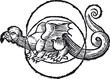 Moon dragon (Monddrache) Heinrich Cornelius Agrippa
