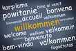 willkommen in vielen sprachen