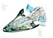 Detailed cut-away diagram of a space shuttle