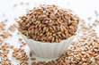 Spelt grains