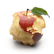 Apple with carved continents. America