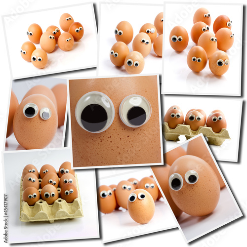Photo: Looking eggs Looking eggs