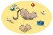 Cat with toys