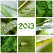 composition zen 2013