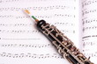 Oboe und Noten