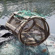 Apparatus for crab fishing