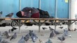 Homeless man