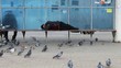 Homeless man sleeping on the bus stop