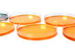 Foto: Petri Dish With Cultivating Liquids Petri Dish With Cultivating Liquids
