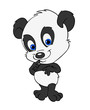 Cute Baby Panda Bear