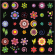 The complete set of elements of design (flowers)