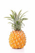 isolated pineapple