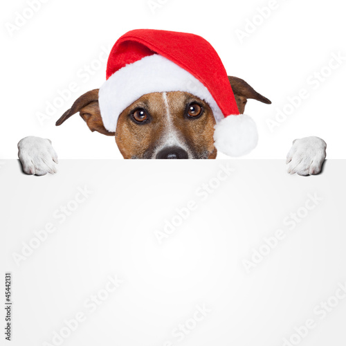 Photo: christmas banner placeholder dog christmas banner placeholder dog