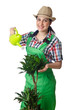 Woman watering plants on white