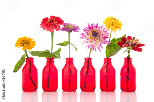 Photo: Zinnias and Dahlias Zinnias and Dahlias