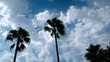 Beautiful Blue Sky with White