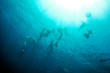 Freediving training in the depth of Blue Hole