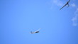 Glider isolated against blue sky.
