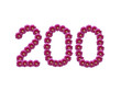 Ziffer 200 - Blütenschrift