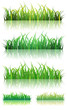Spring Or Summer Green Grass Set