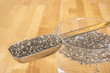 Spoon of Chia Seeds