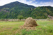 Haystack closeup