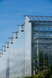 Glass garden  2