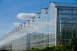 Glass garden