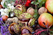 Gesammelte Herbstfrüchte