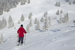 schneeschuhwandern am sudelfeld in oberbayern