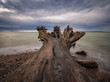 Die Ostseeküste auf der Insel Rügen.