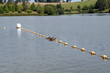 Canards