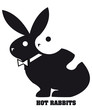 lapin, animal,symbole,reproduction,accouplement,