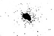Chinese ink drops on a white background.