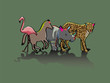 Vector: animals animals
