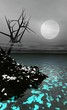 paysage sauvage - lugubre