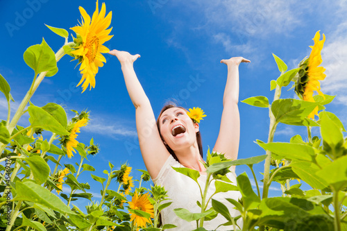 Photo: sonnenblumen sonnenblumen