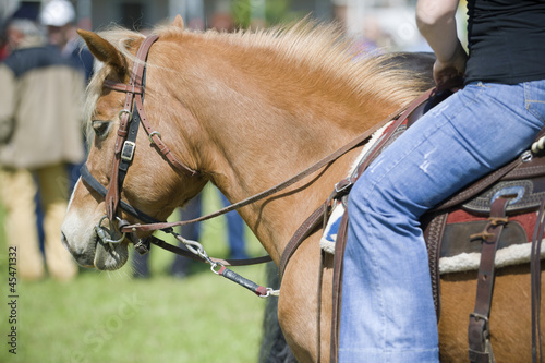 Photo: Raider and horse detail Raider and horse detail