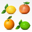 Collection of fruits