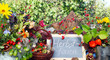 Herbstferien