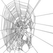 cobweb