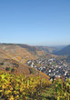 Herbst im Ahrtal bei Dernau