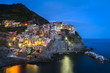 Photo: Village of Manarola at night, Cinque Terre, Italy Village of Manarola at night, Cinque Terre, Italy