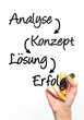 Analys - Konzept - Lösung - Erfolg