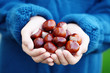little hands with chestnuts
